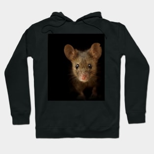 George the mouse in a log pile House art black background Hoodie